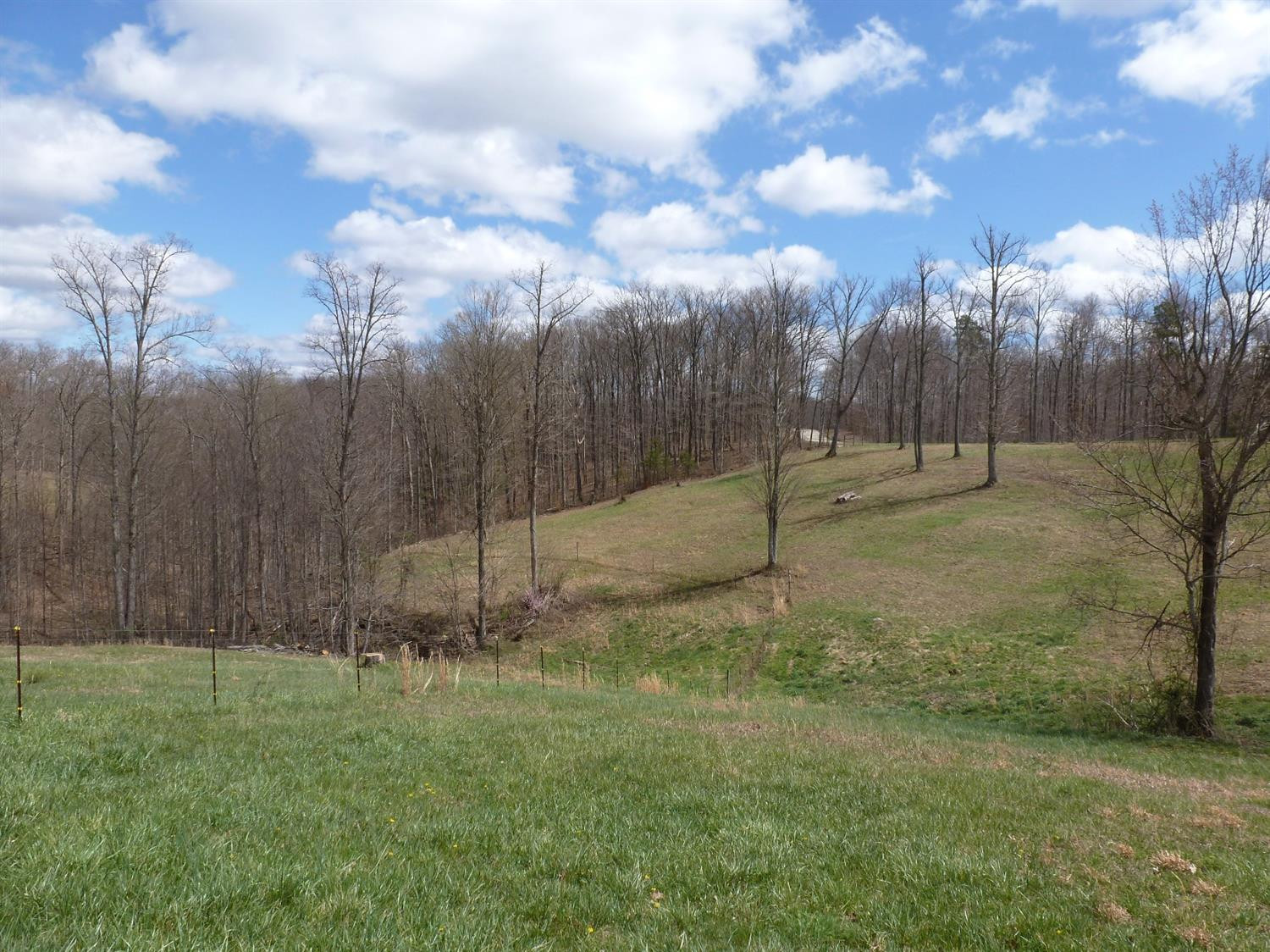 3821 Amos Ridge Road Frenchburg, KY 40322 - Photo 66 of 88 Photo 66