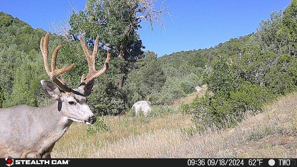17001 Peacock Road Trinidad, CO 81082 - Photo 54 of 62