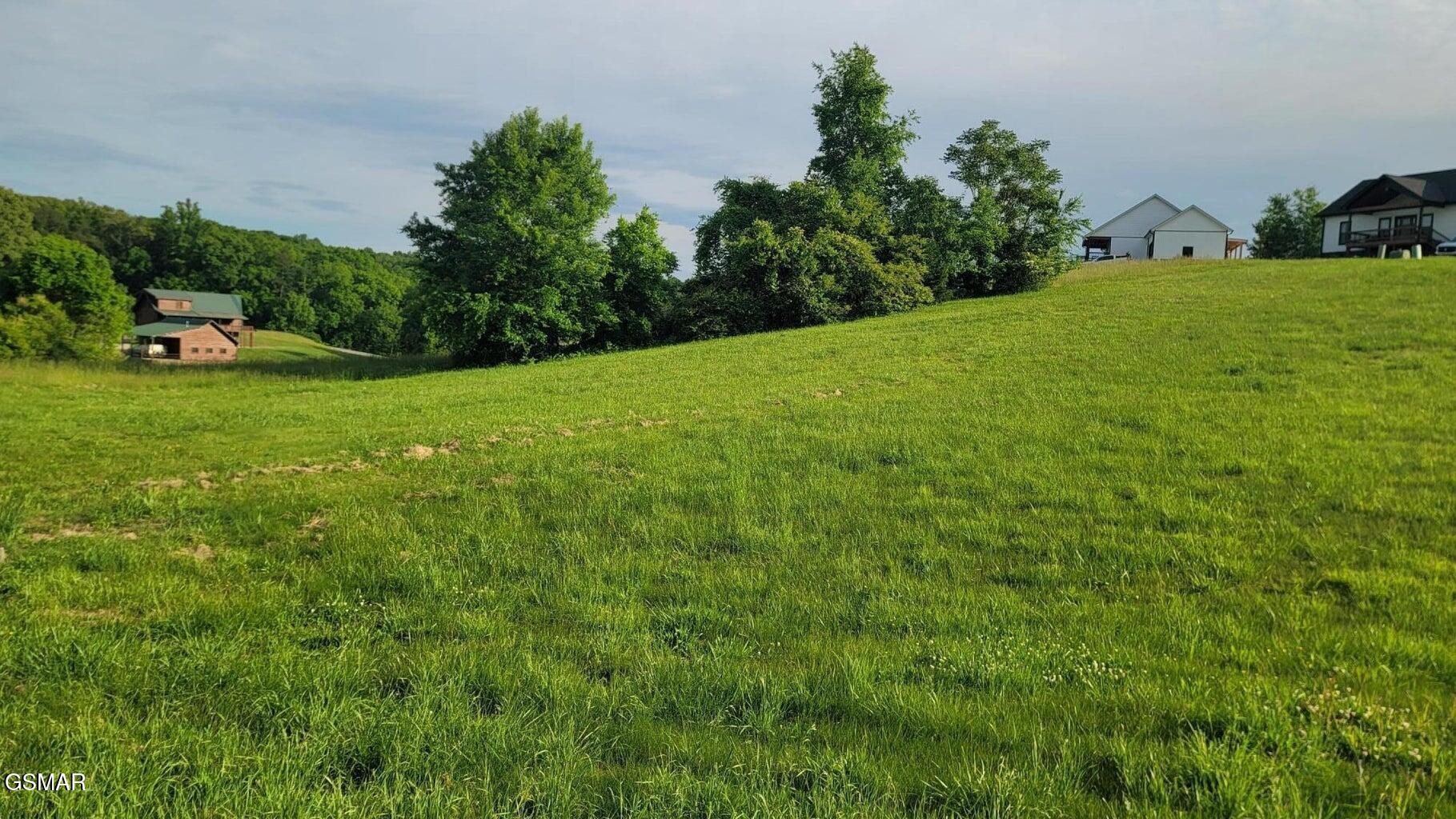 41 Shiloh Springs Road Rutledge, TN 37861 - Photo 2 of 6 Gallery Image 2