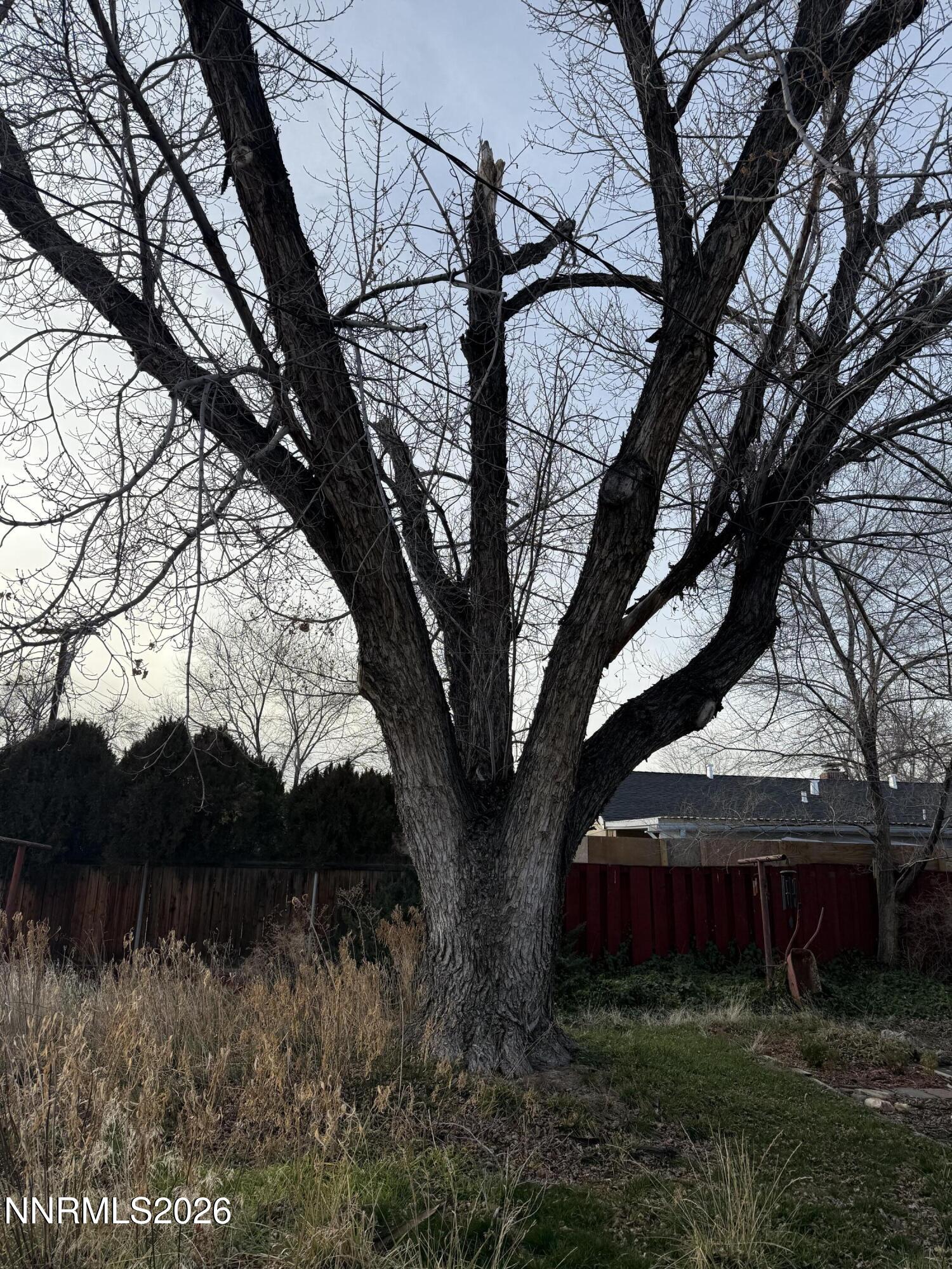 870 Capitol Hill Avenue Reno, NV 89502 - Photo 21 of 24 a view of backyard with green space