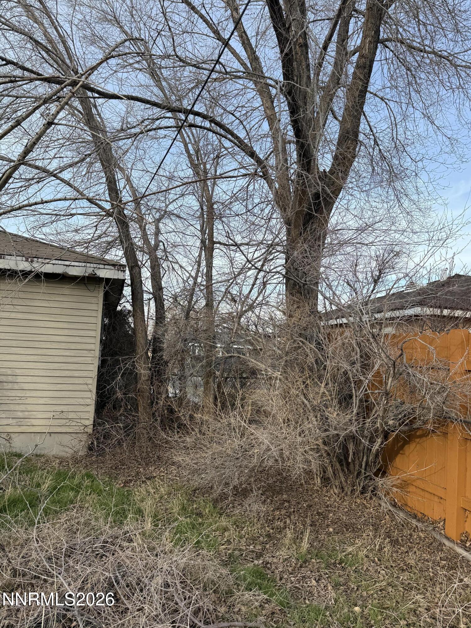 870 Capitol Hill Avenue Reno, NV 89502 - Photo 22 of 24 a view of a yard in a yard