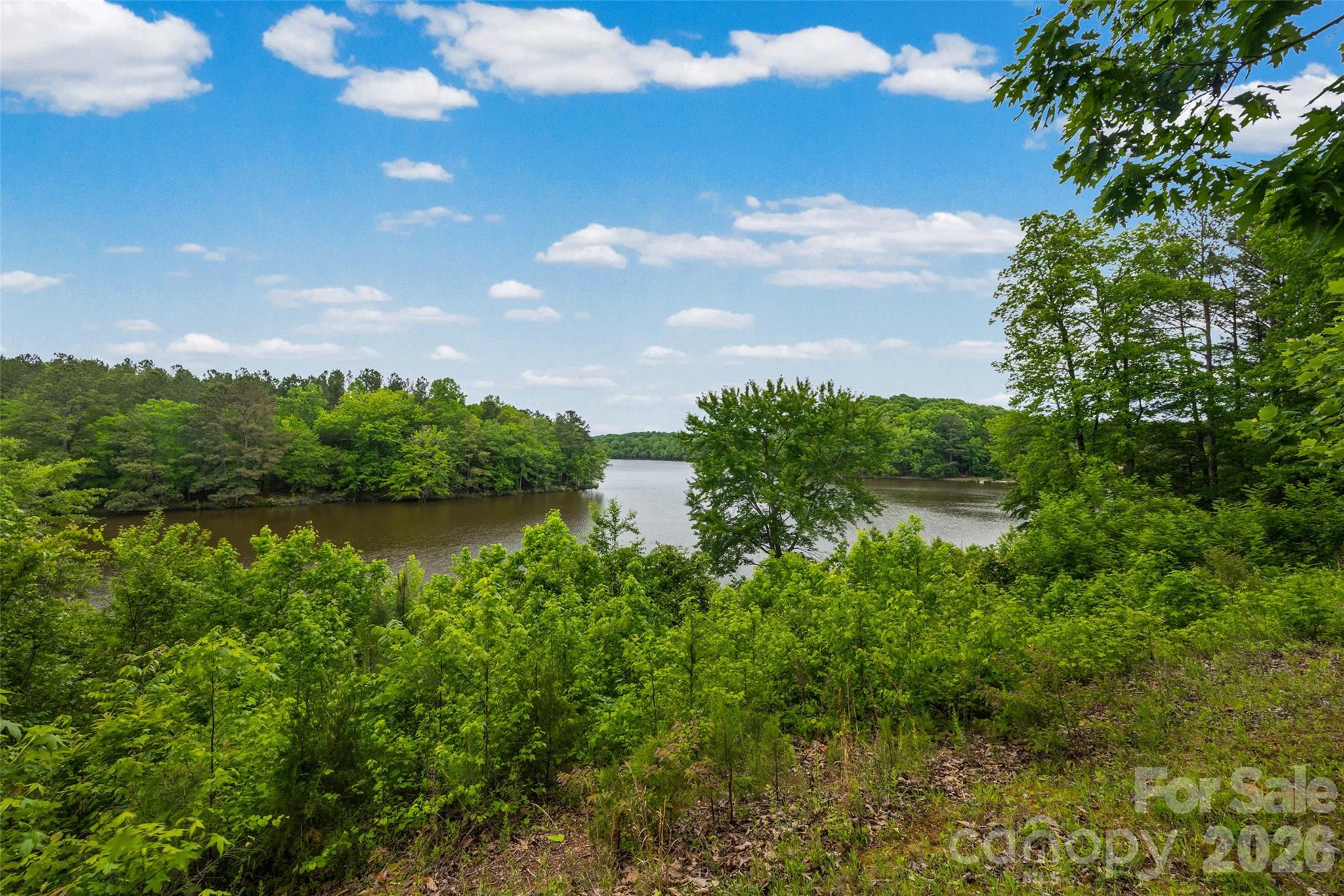 47-ac Killian Road Edgemoor, SC 29712 - Photo 21 of 37 a view of a lake with a yard