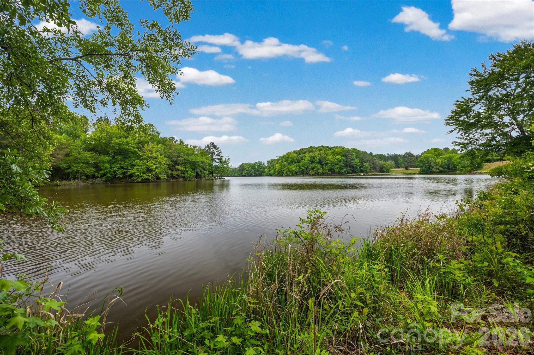 47-ac Killian Road Edgemoor, SC 29712 - Photo 22 of 37