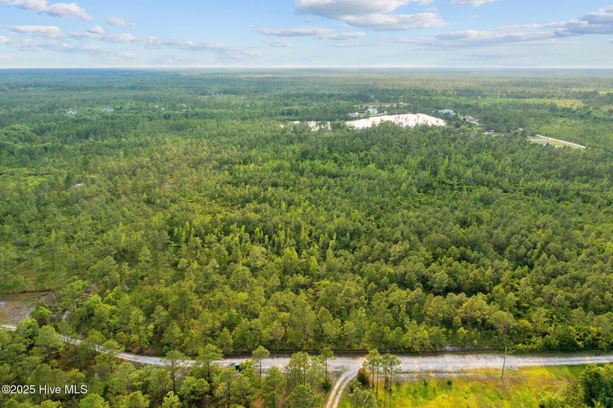 308 Pilchers Branch Road Holly Ridge, NC 28445 - Photo 4 of 6 6-web-or-mls-DJI_0912