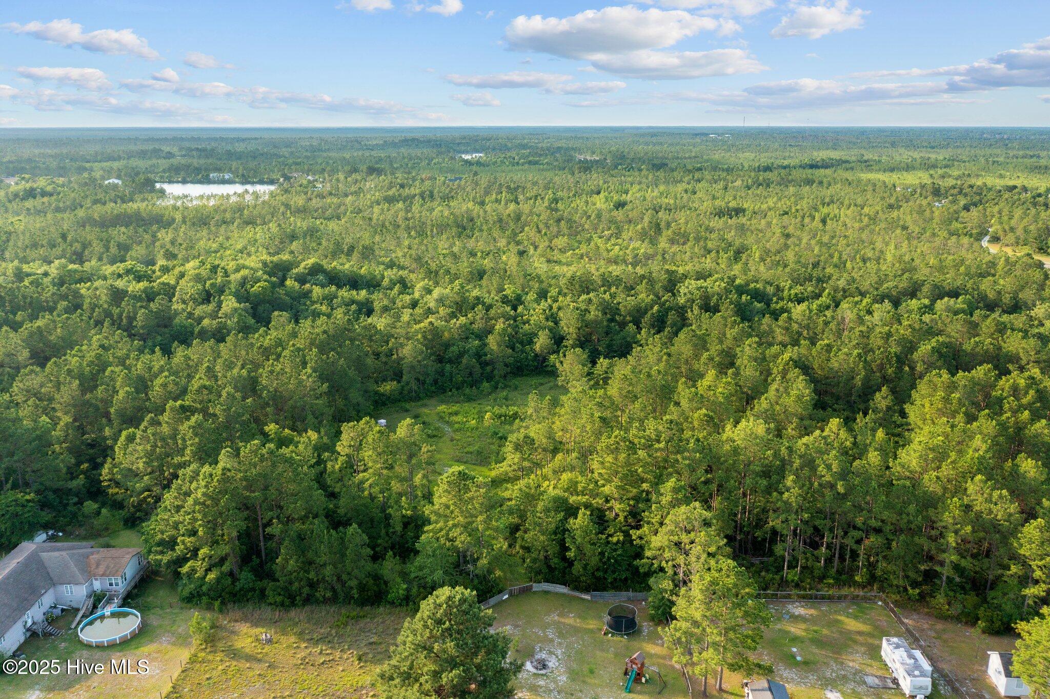 308 Pilchers Branch Road Holly Ridge, NC 28445 - Photo 6 of 6 9-web-or-mls-DJI_0919