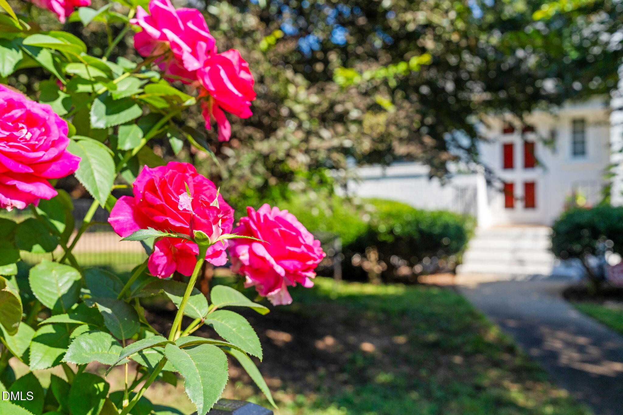 406 Chesterfield Road Raleigh, NC 27608 - Photo 18 of 25 a view of a flower