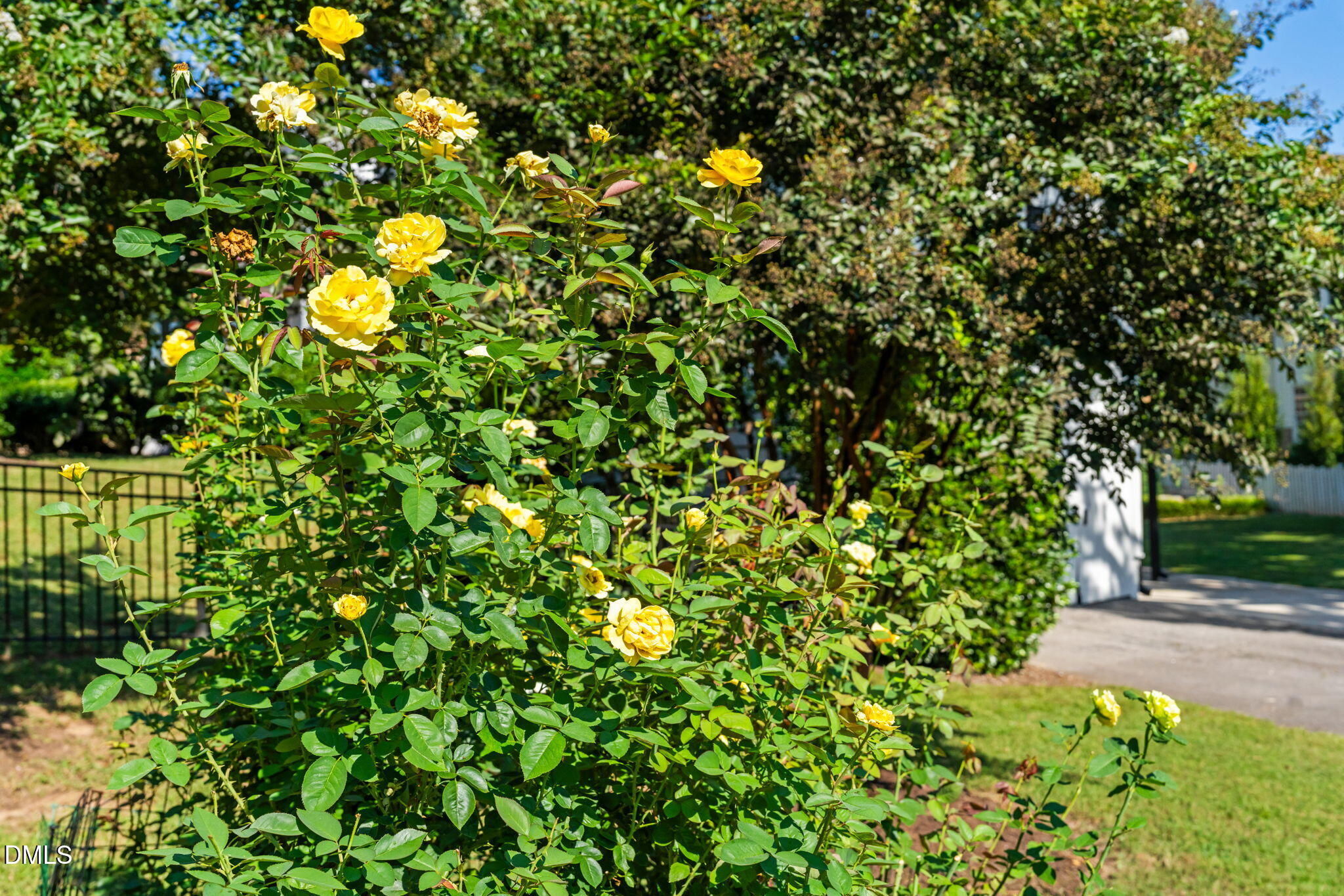 406 Chesterfield Road Raleigh, NC 27608 - Photo 23 of 25 a backyard of a house with lots of green space