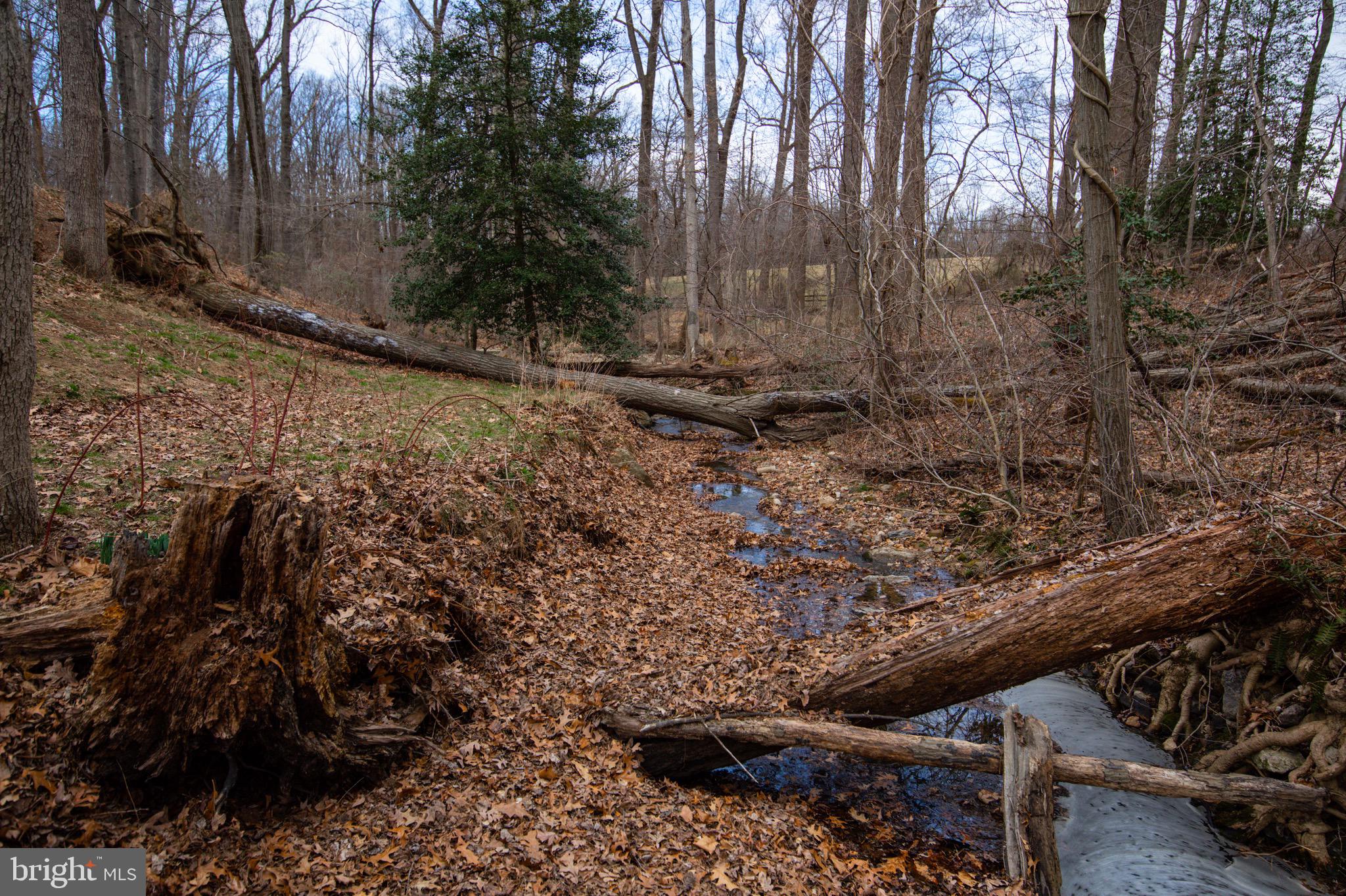 15406 Riding Stable Road Laurel, MD 20707 - Photo 2 of 62 Nestled on a private 6.12 acres!
