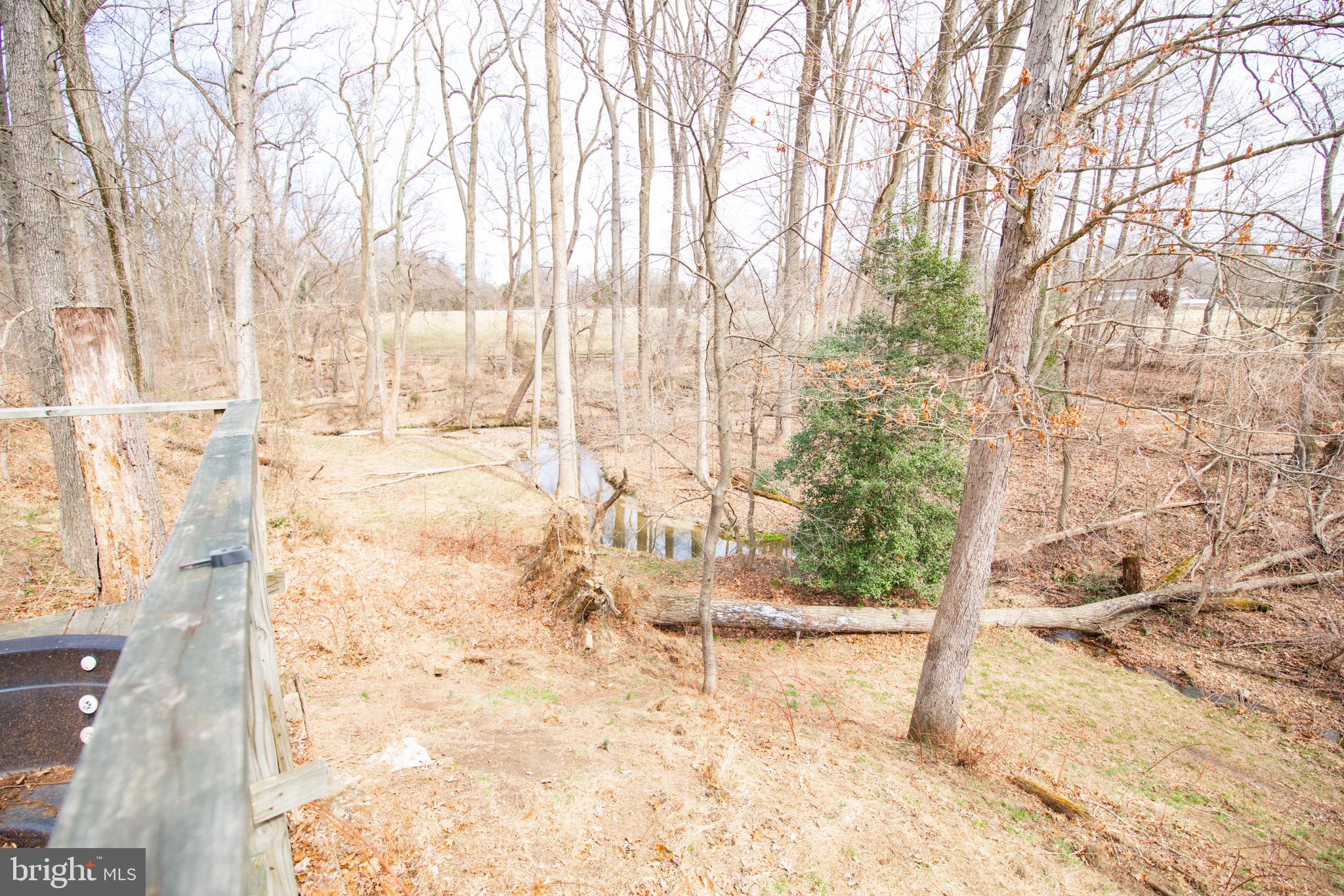 15406 Riding Stable Road Laurel, MD 20707 - Photo 3 of 62 Beautiful views of the stream