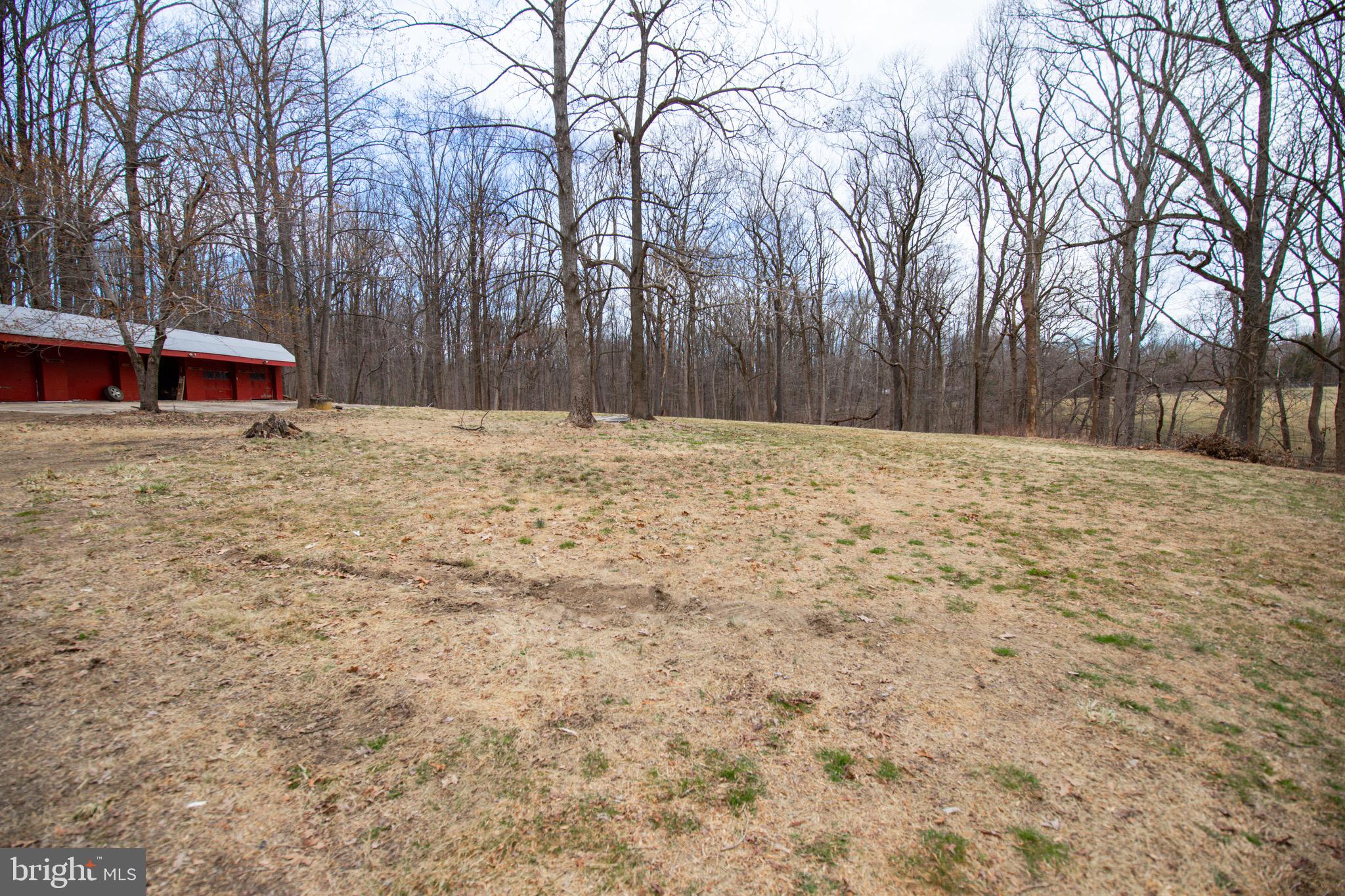15406 Riding Stable Road Laurel, MD 20707 - Photo 40 of 62 Grassy field