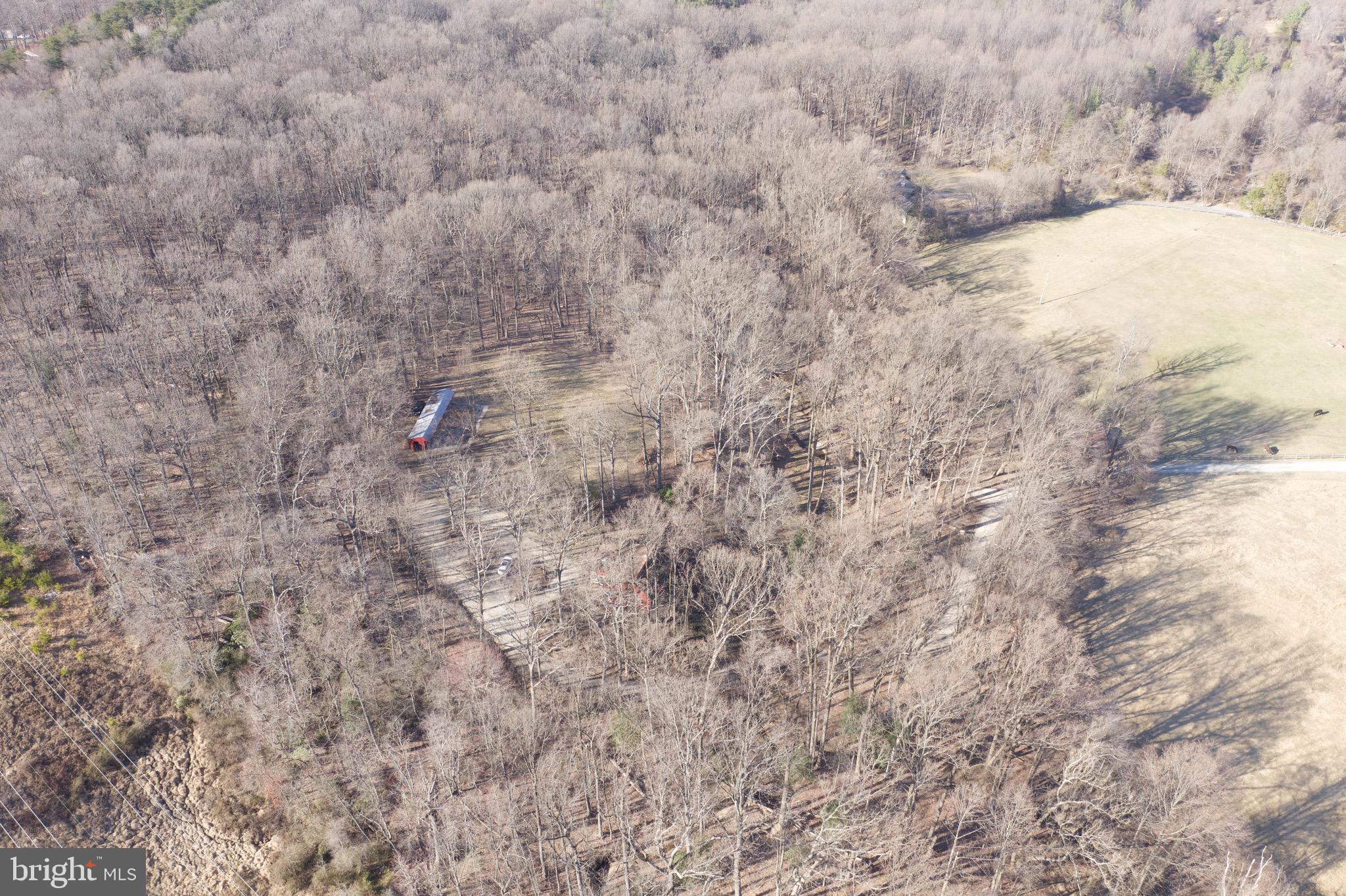 15406 Riding Stable Road Laurel, MD 20707 - Photo 60 of 62