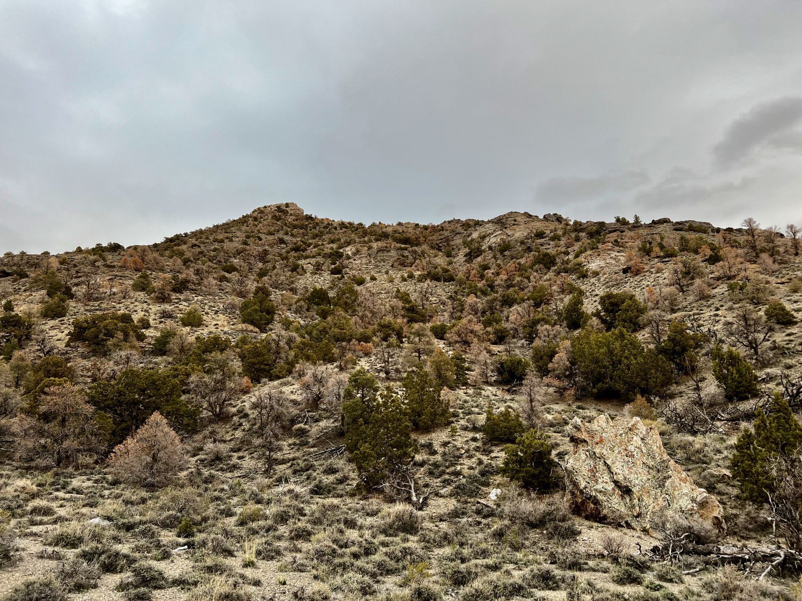 Na Ridge Montello, NV 89830 - Photo 1 of 25