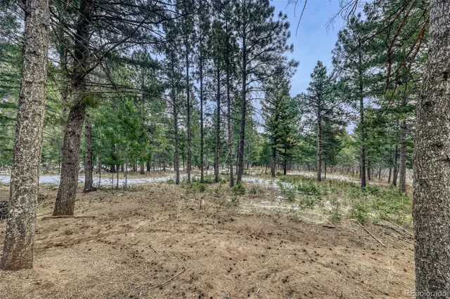 $230,000 | Rock Ridge Road, Palmer Lake, CO 80133