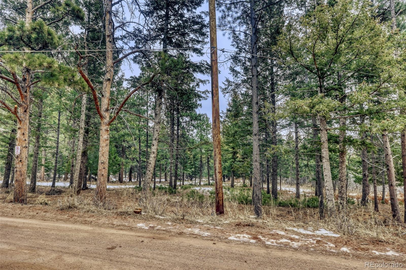 Rock Ridge Road Palmer Lake, CO 80133 - Photo 13 of 23 a view of a forest filled with trees