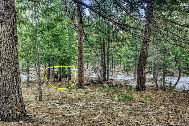 $230,000 | Rock Ridge Road, Palmer Lake, CO 80133