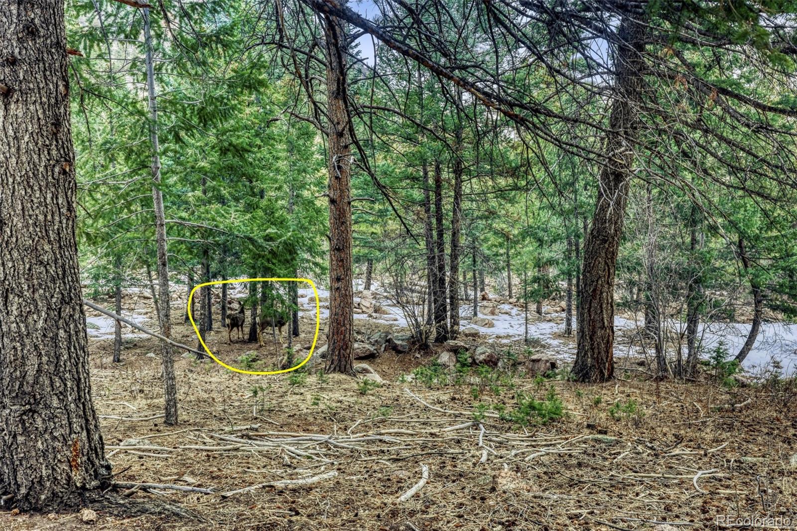Rock Ridge Road Palmer Lake, CO 80133 - Photo 3 of 23 a view of outdoor space with sink