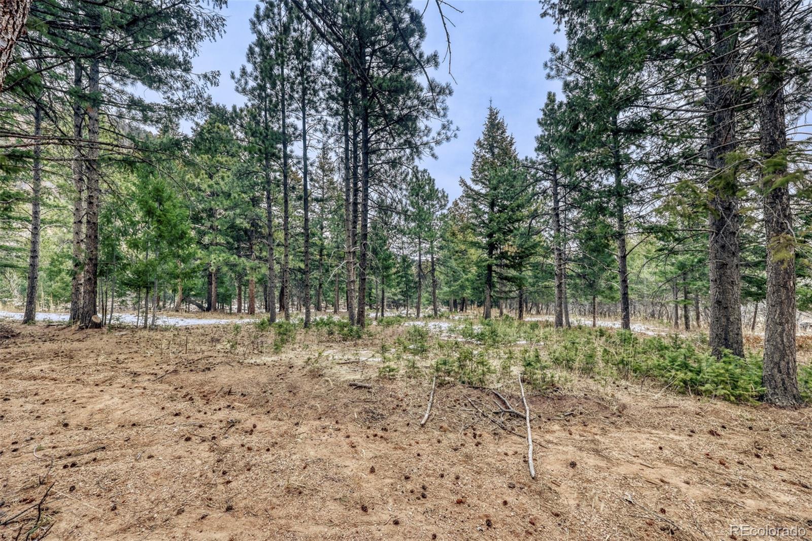Rock Ridge Road Palmer Lake, CO 80133 - Photo 9 of 23 a view of backyard with green space