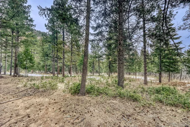 $230,000 | Rock Ridge Road, Palmer Lake, CO 80133