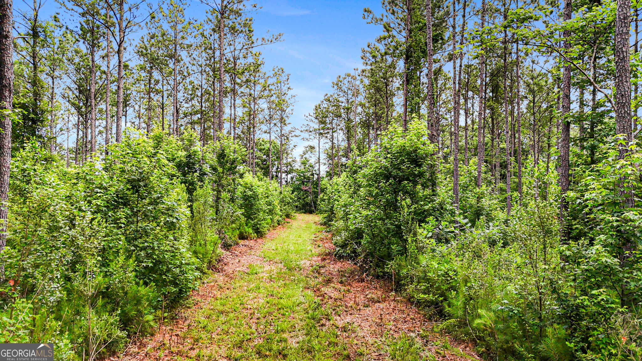0 Howard Road Roberta, GA 31078 - Photo 11 of 14