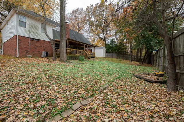 a view of a backyard