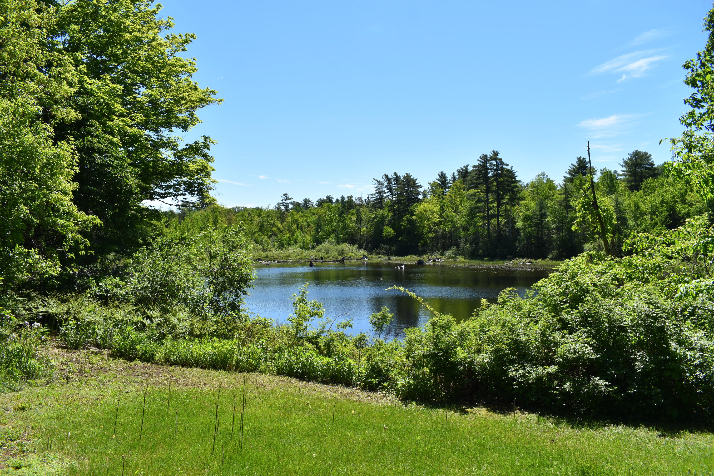 14 Arab Road Lee, ME 04455 - Photo 3 of 30 DSC_0217