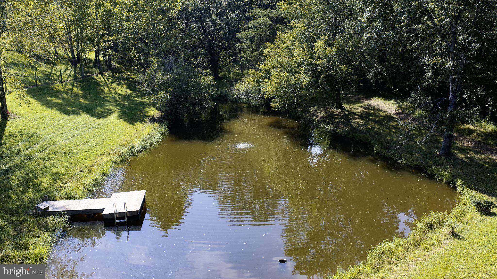 65 Dennis Road Castleton, VA 22716 - Photo 66 of 83 Stocked with Bass and Blue Gill