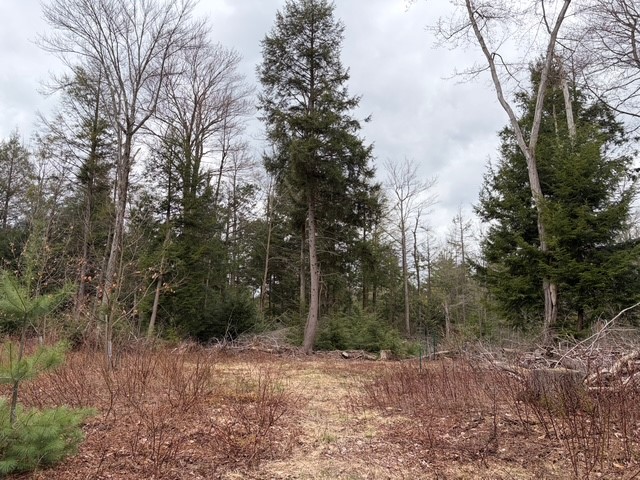 Pritchard Road Springville, NY 14141 - Photo 13 of 23