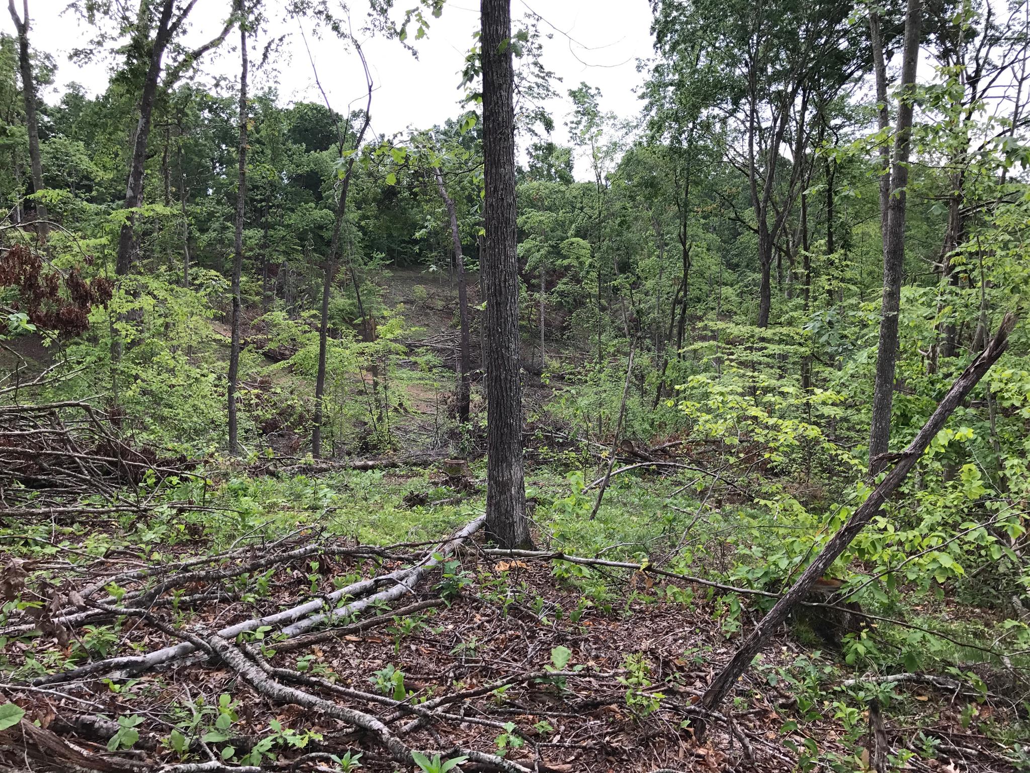 1 Abney Road Indian Mound, TN 37079 - Photo 14 of 29 Gallery Image 14