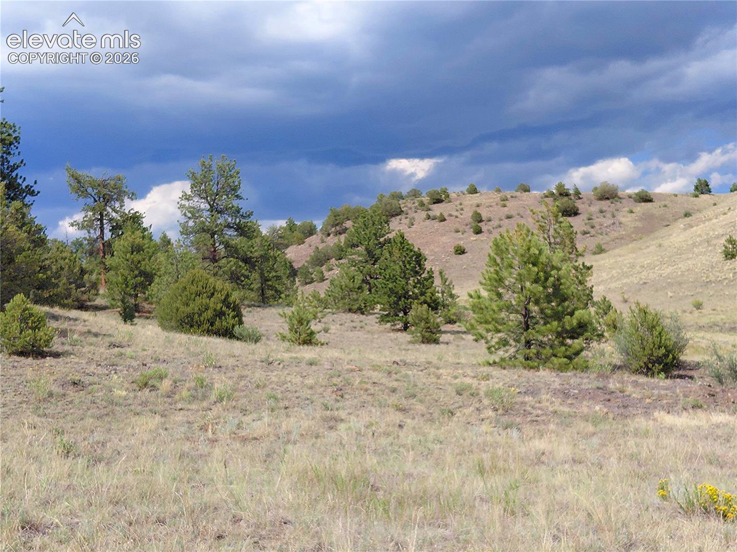 70 Owls Nest Road Guffey, CO 80820 - Photo 5 of 26 Gallery Image 5