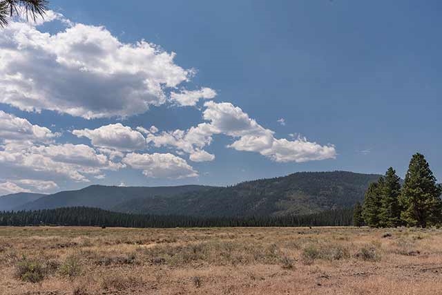 89 Highway 89 Calpine, CA 96124 - Photo 1 of 14 Gallery Image 1