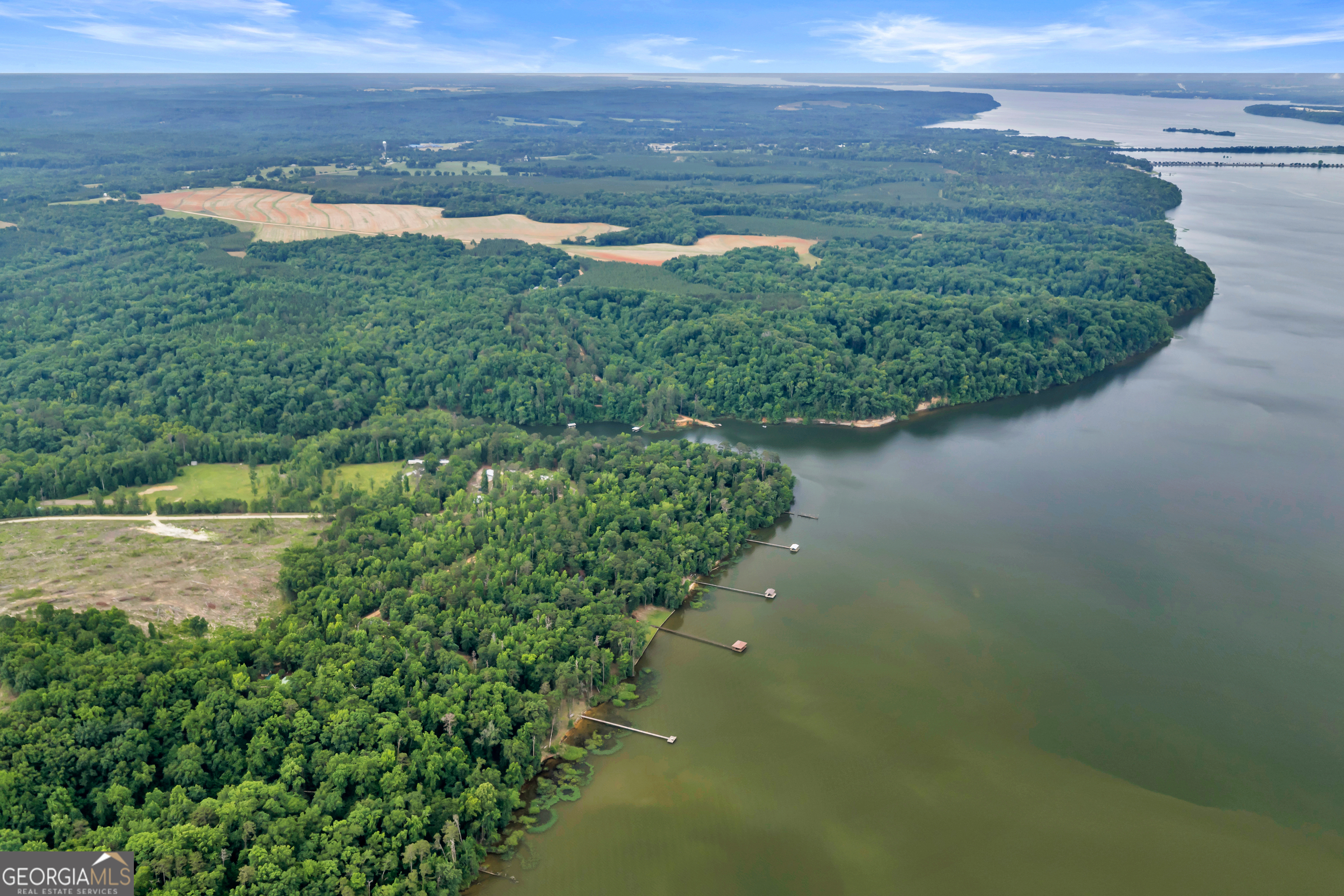 473 Vining Branch Road Georgetown, GA 39854 - Photo 19 of 43 a view of a lake from a yard