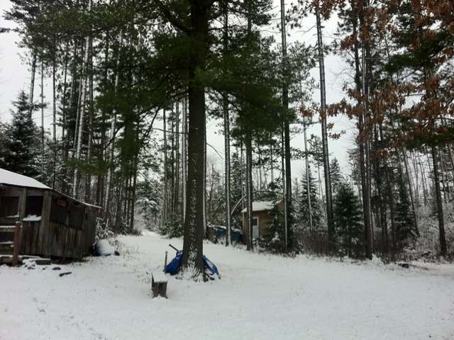 10.95-ac Deer Run Road Tomahawk, WI 54487 - Photo 6 of 7 Gallery Image 6