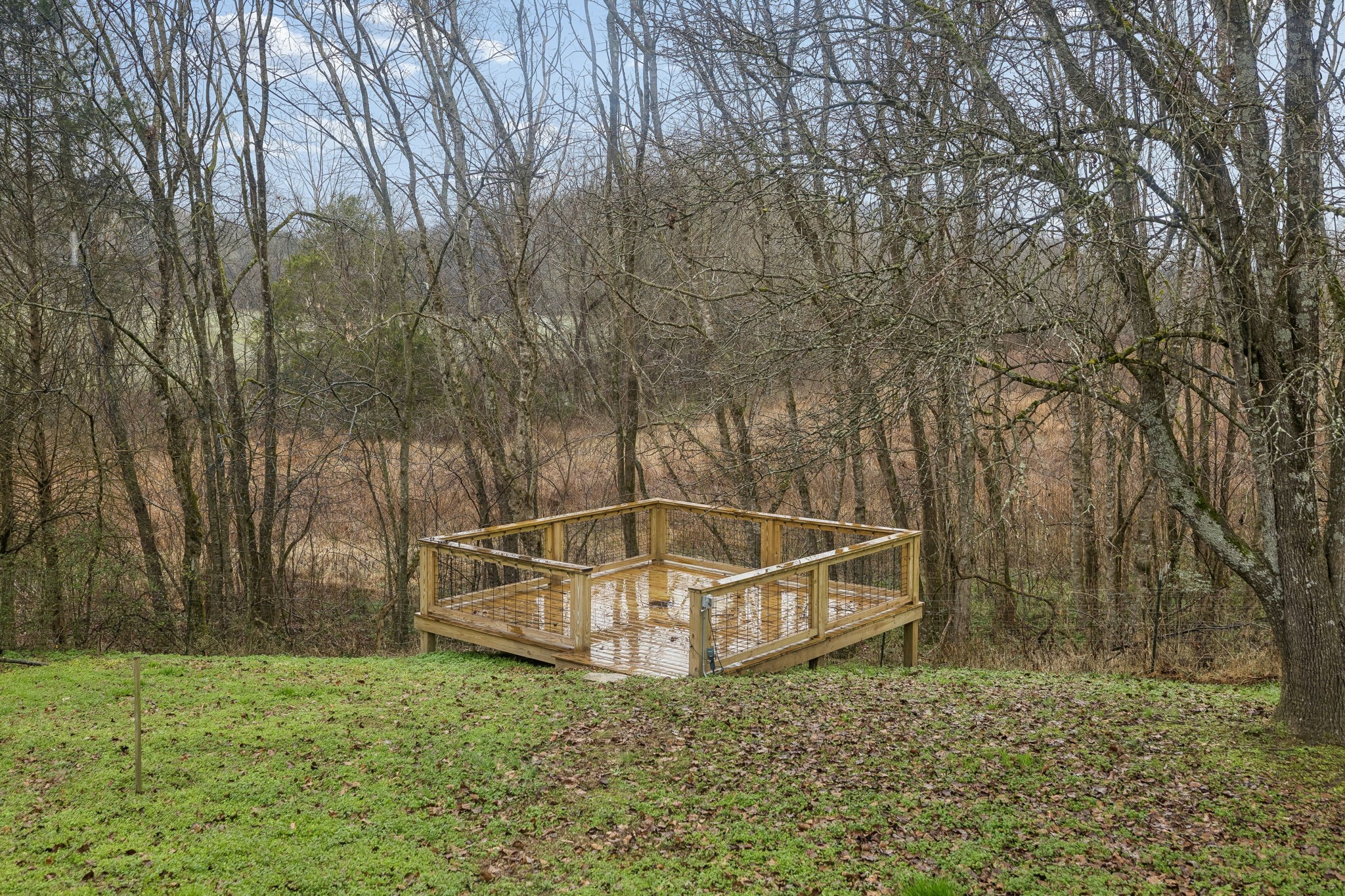 5360 Bunker Hill Road Pulaski, TN 38478 - Photo 64 of 69 a view of a backyard
