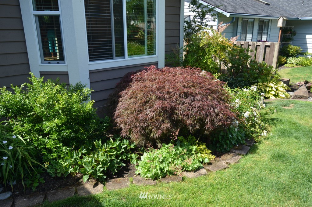 1224 235th Place Southwest Bothell, WA 98021 - Photo 3 of 25