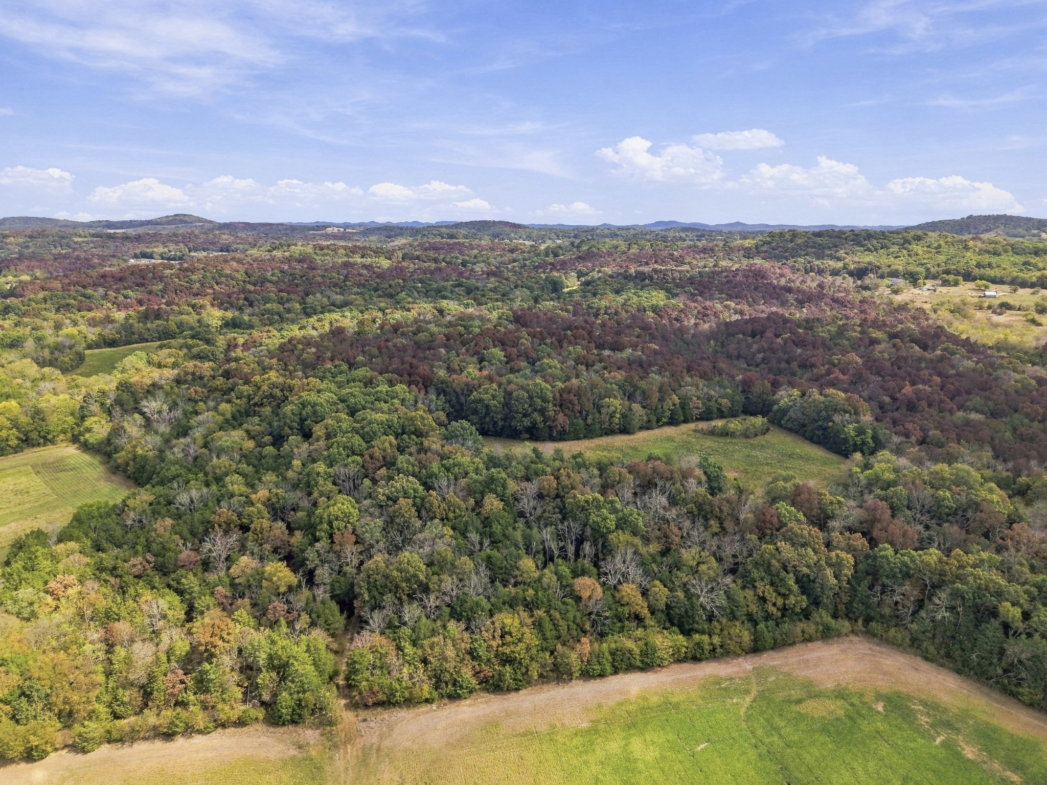 5479 Beech Log Road Lebanon, TN 37090 - Photo 17 of 24 Gallery Image 17