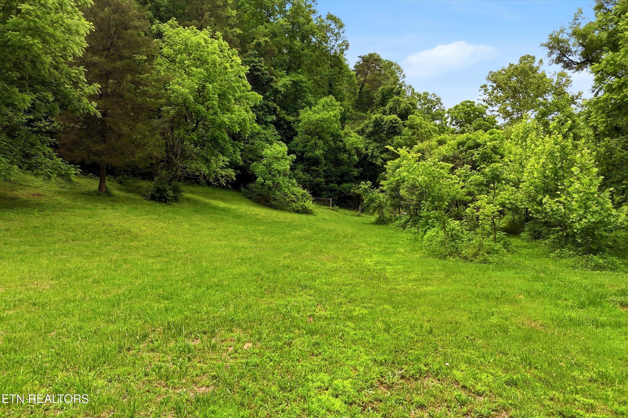 9613 Norris Freeway Heiskell, TN 37754 - Photo 54 of 60