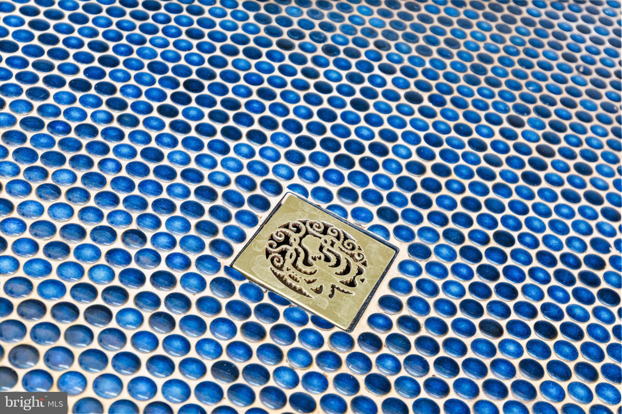 8937 Ninepin Branch Road Berlin, MD 21811 - Photo 26 of 44 Intricate blue pattern with a golden emblem.