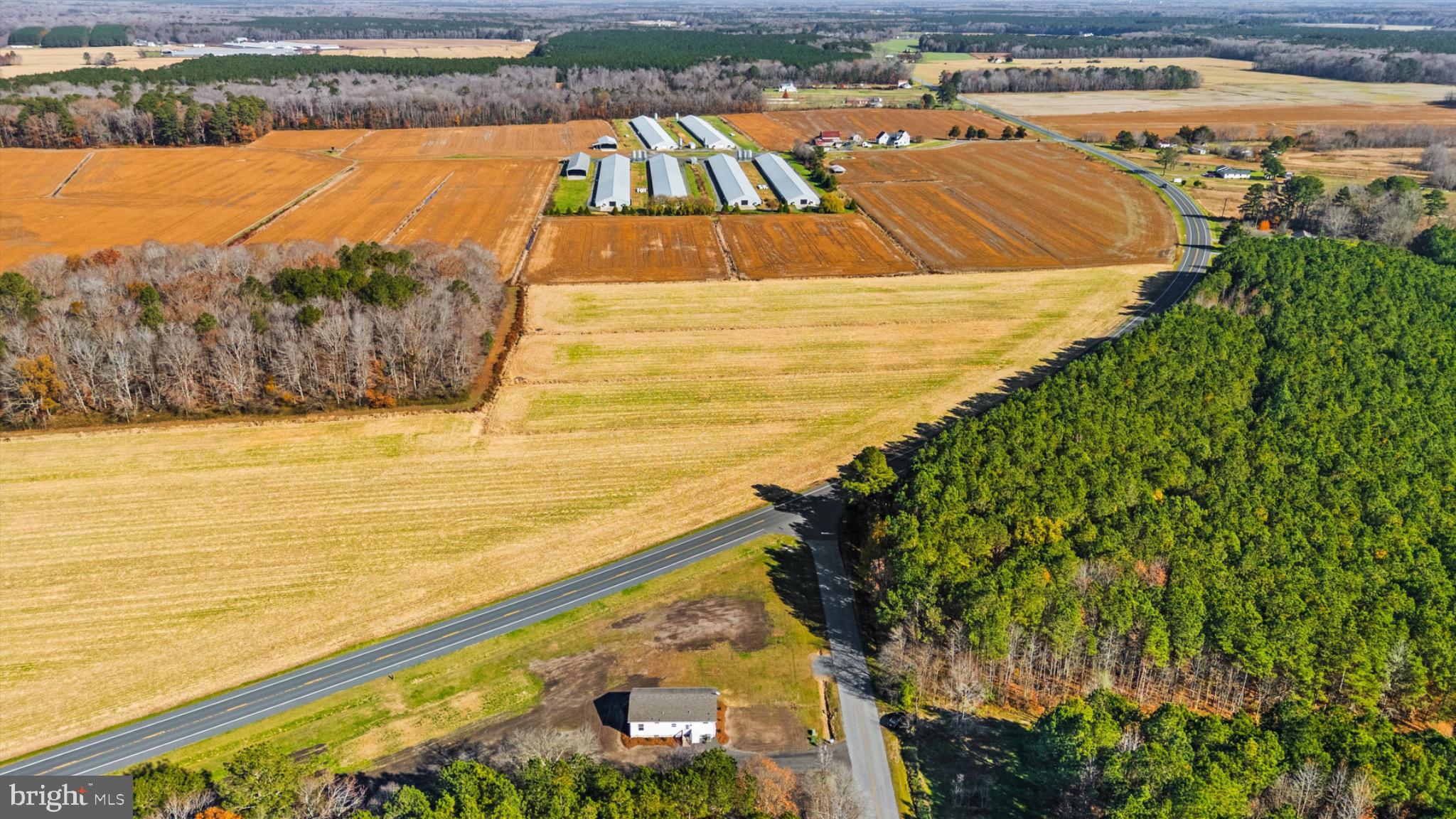 8937 Ninepin Branch Road Berlin, MD 21811 - Photo 37 of 44 Expansive farmland meets serene woodlands.