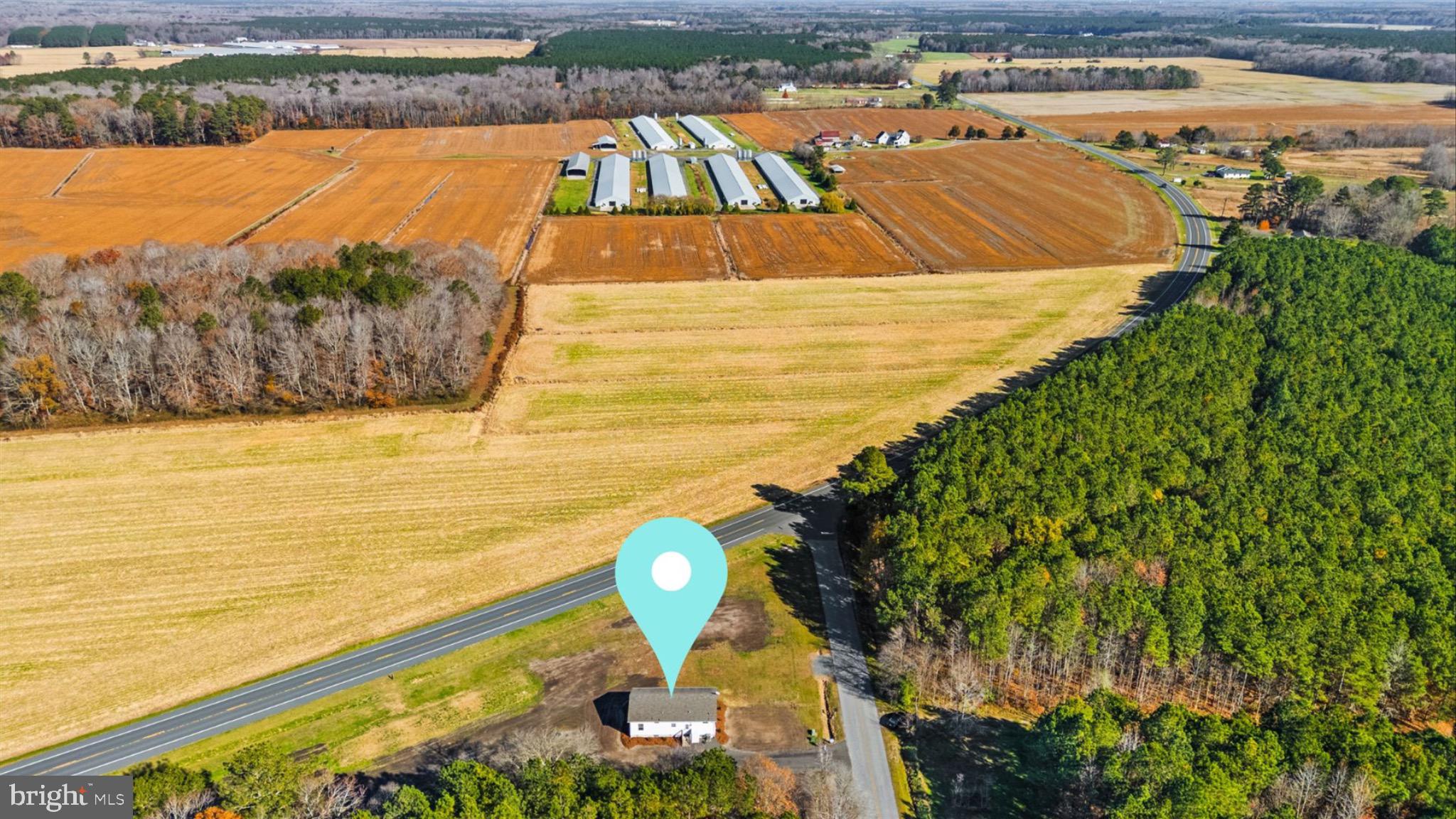 8937 Ninepin Branch Road Berlin, MD 21811 - Photo 42 of 44 Scenic rural landscape with open fields.