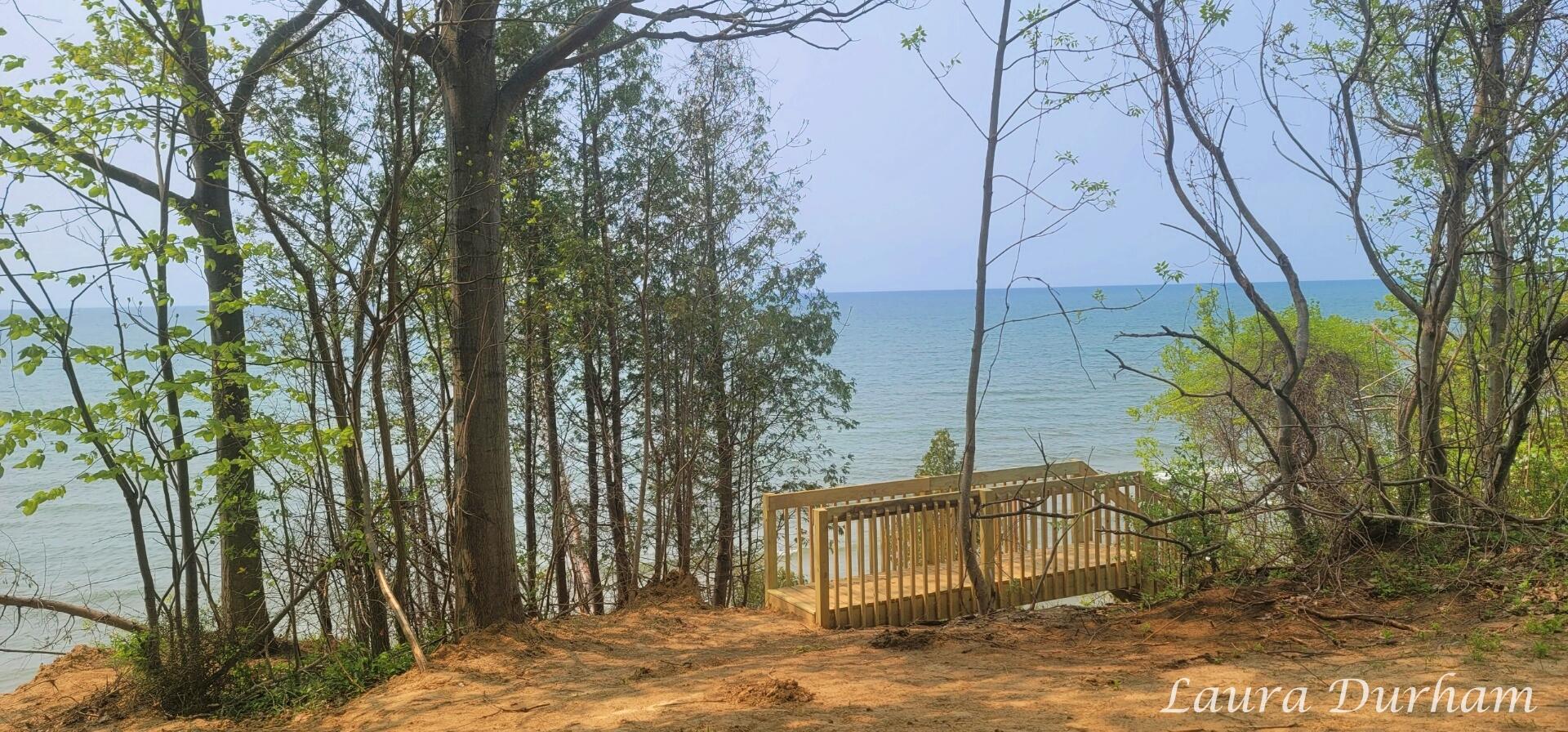 2805 Lakeshore Drive Fennville, MI 49408 - Photo 38 of 44 LJD123_1 (5)