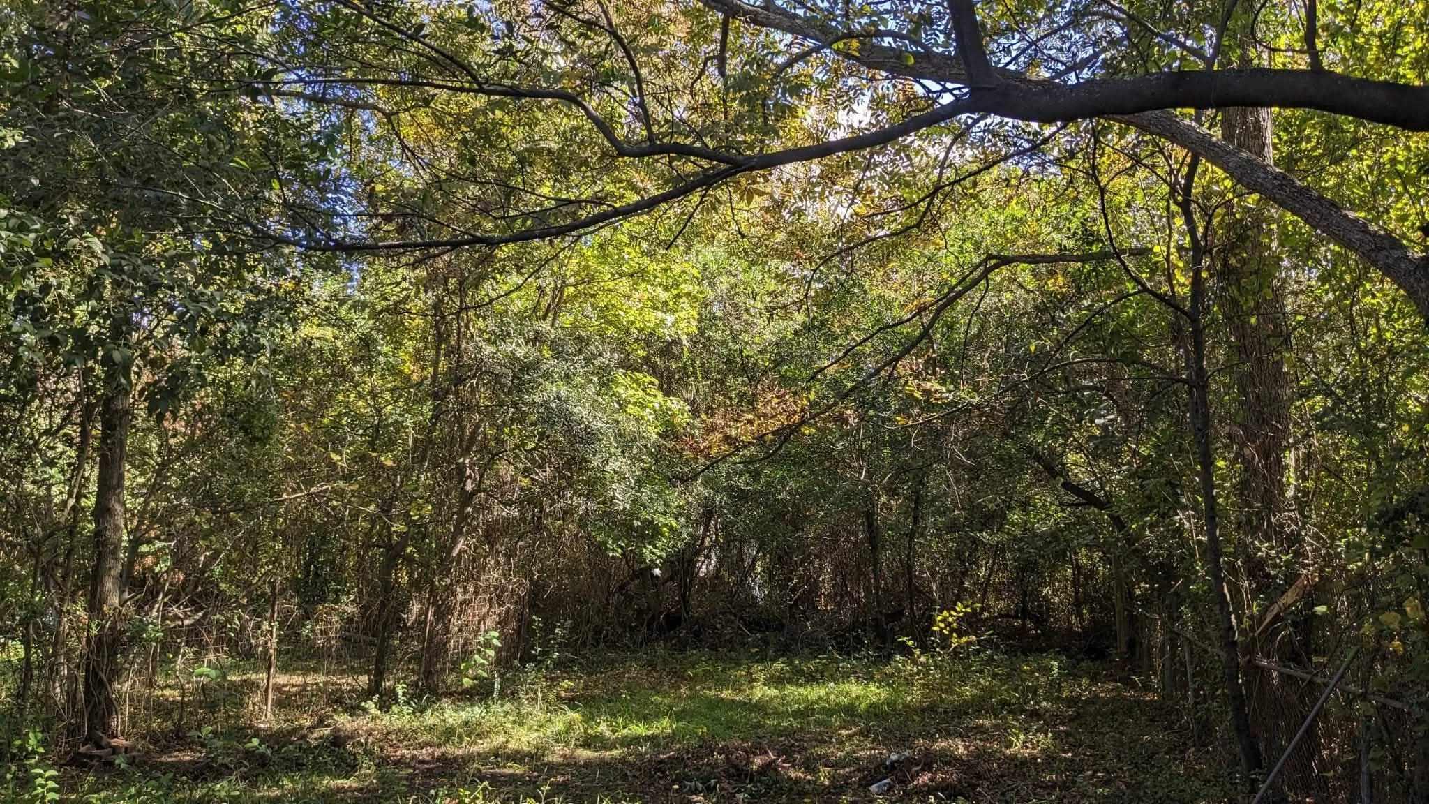 406 Hamilton Street Augusta, GA 30904 - Photo 11 of 11 received_2812682819121057