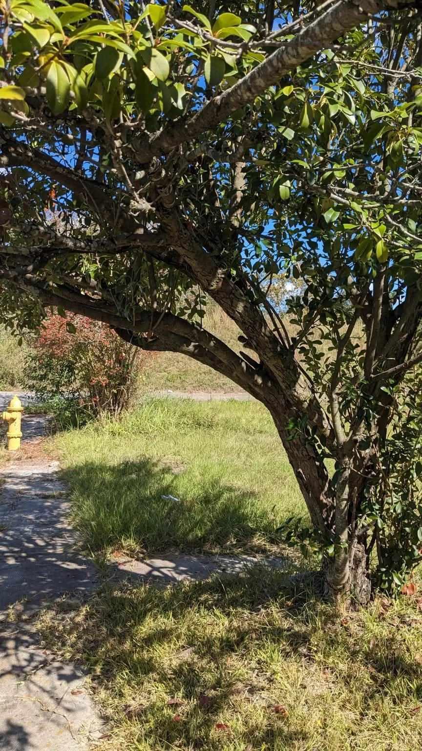 406 Hamilton Street Augusta, GA 30904 - Photo 8 of 11 received_712384548037398