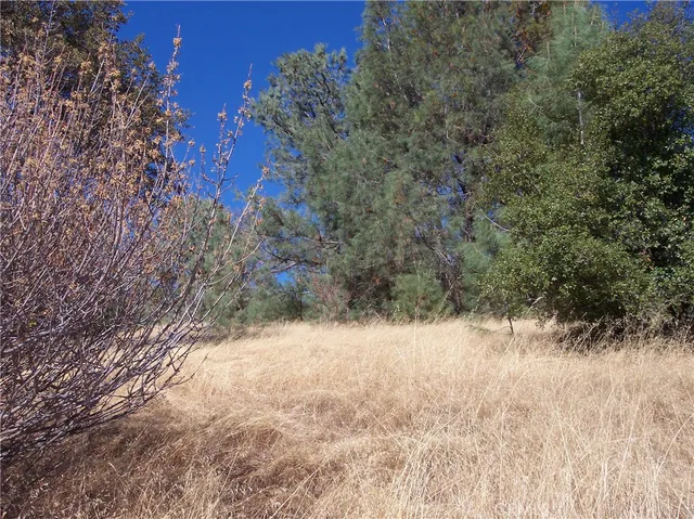 a view of side of a yard