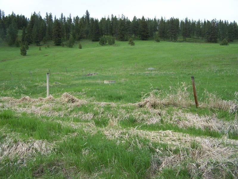 17-xx Swiss Valley Road Addy, WA 99101 - Photo 2 of 12