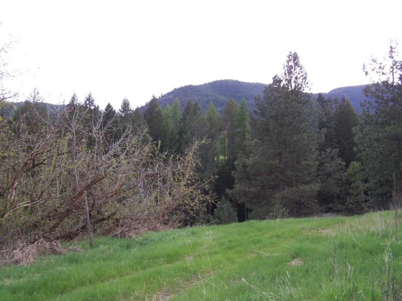 17-xx Swiss Valley Road Addy, WA 99101 - Photo 4 of 12