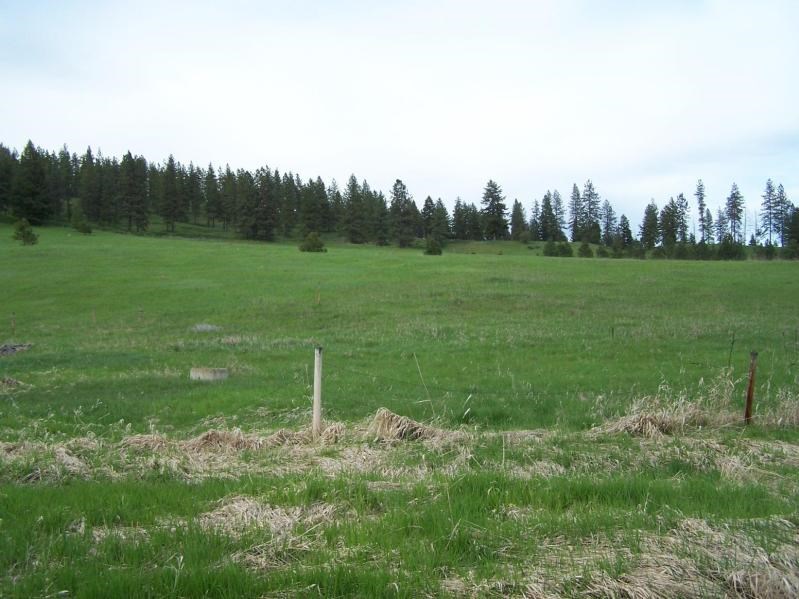 17-xx Swiss Valley Road Addy, WA 99101 - Photo 8 of 12