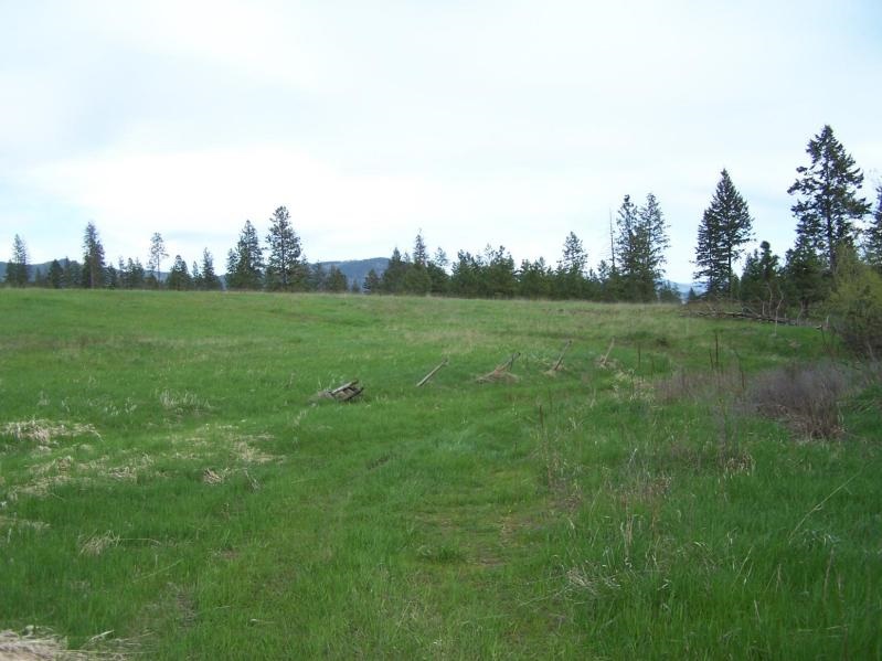 17-xx Swiss Valley Road Addy, WA 99101 - Photo 10 of 12