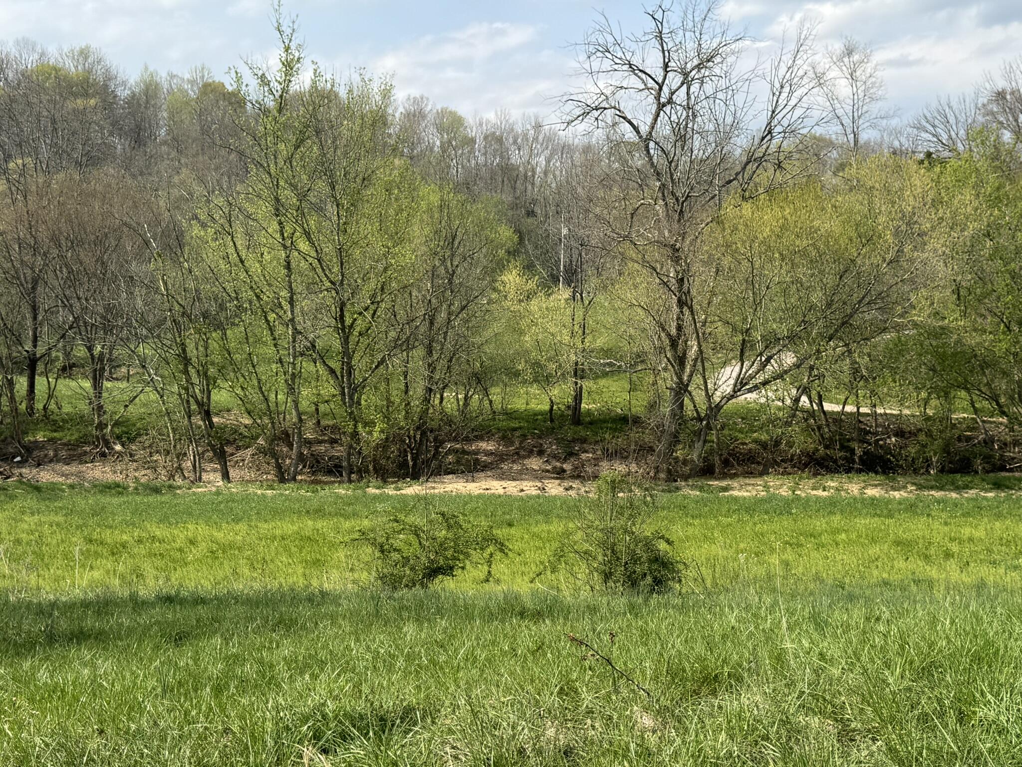 667 Troutstream Road Dunnville, KY 42528 - Photo 6 of 83 IMG_2323