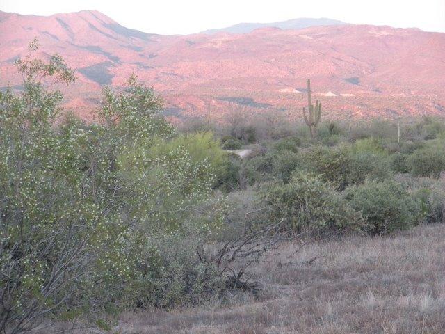 175-xx East Milton Street Rio Verde, AZ 85263 - Photo 2 of 10 Mountain Views
