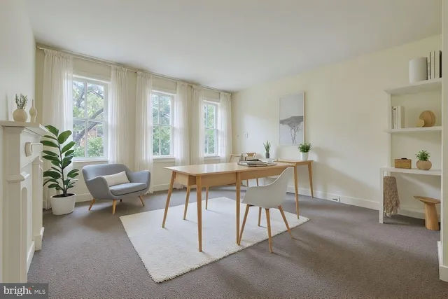 a work room with furniture and a potted plant
